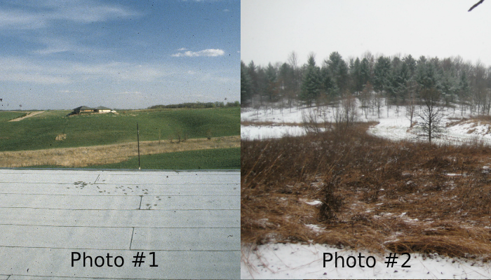 A Story of Reconstruction: A Before and After Woods