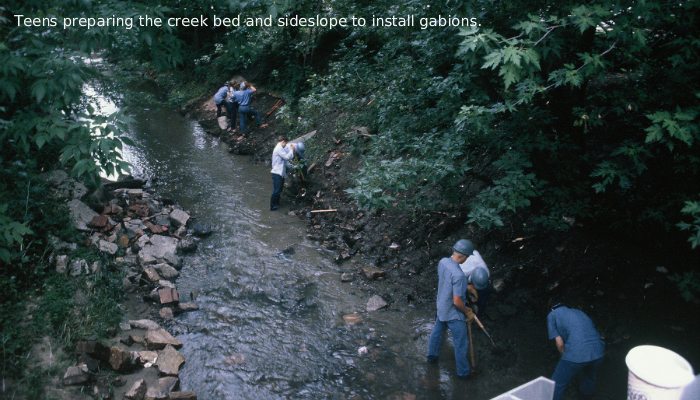 Managing Ralston Creek with Gabions