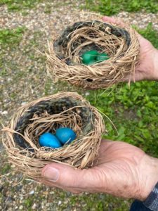Nothing to Do? Try Building a Bird Nest!