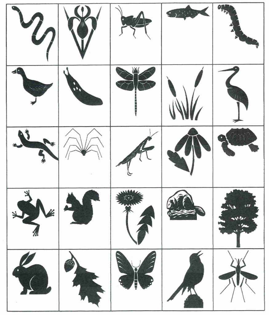 Nothing to Do? Try Nature Bingo